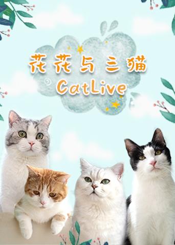 花花与三猫catlive